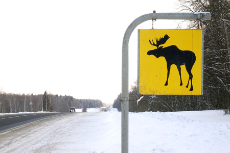 Road sign. Moose are wild animals.Warningの写真素材
