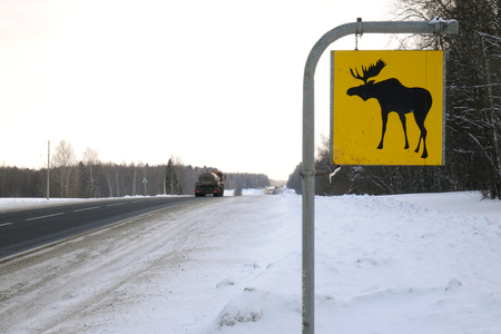 Road sign. Moose are wild animals.Warningの写真素材