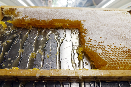 honeycomb with wood, honeycomb in the restaurant, honeycomb for breakfast, honey bee ,honeycomb...
