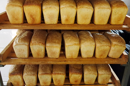 Fresh bread in the bakery. Healthy and nutritious food. The product contains carbohydratesの写真素材