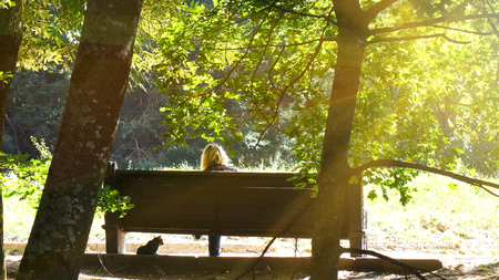 Benches in the autumn Parkの写真素材