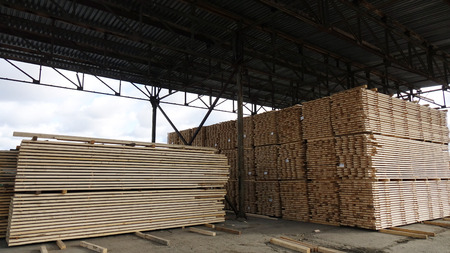 Plant for the production of wood boards. Pilorama. The concept of production, manufacturing and...