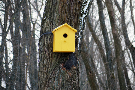 Colored birdhouses.Colorful bird houses on a tree trunk in the forestの写真素材