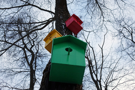Colored birdhouses.Colorful bird houses on a tree trunk in the forestの写真素材