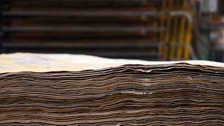 Shop for the production of plywood. Processing of business wood. Woodworking industry