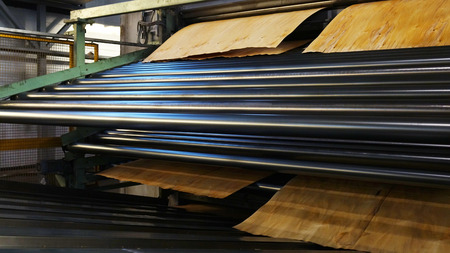 Shop for the production of plywood. Processing of business wood. Woodworking industryの写真素材