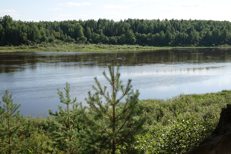 Pine Forest on the river Bank.Wildlife. Water landscapeの写真素材