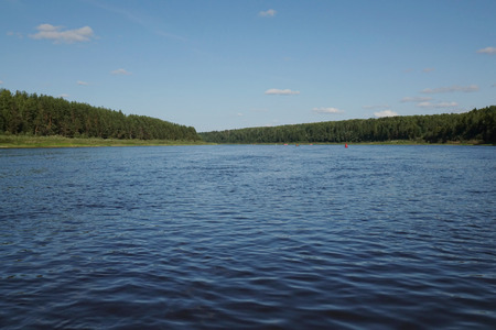 Pine Forest on the river Bank.Wildlife. Water landscapeの写真素材