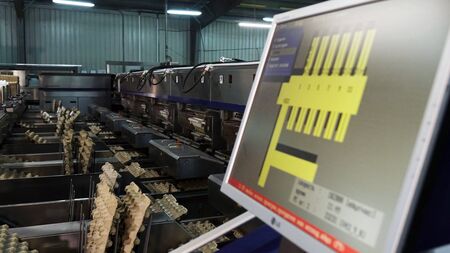 Chicken eggs at the poultry farm. Control system on the production line.. farm, industry.の写真素材