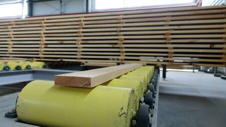 Woodworking enterprise. Production of stacked pine wood for processing and furniture production .の写真素材