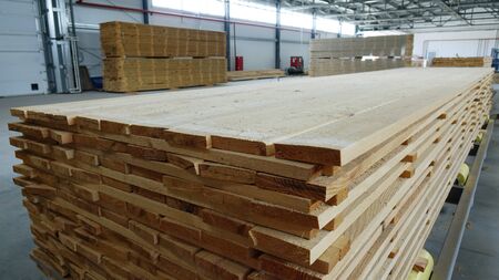 Woodworking enterprise. Production of stacked pine wood for processing and furniture production .の写真素材