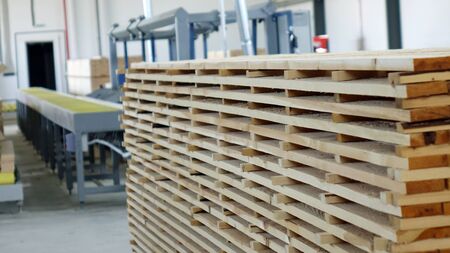 Woodworking enterprise. Production of stacked pine wood for processing and furniture production .の写真素材