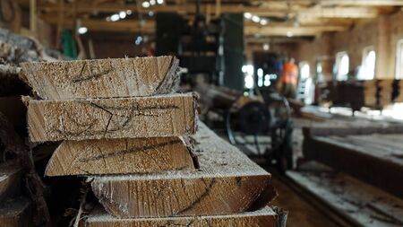 Woodworking enterprise. Production of stacked pine wood for processing and furniture production .の写真素材