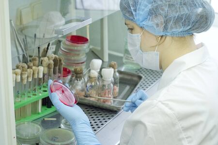 The scientist conducts research in the laboratory. Biotechnologies.の写真素材