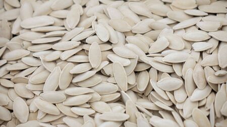 Pumpkin seeds. background. the texture of the pumpkin seedsの写真素材