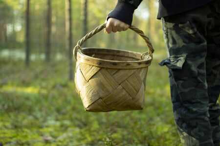 Mushroom picker with a basket in a pine forest. The young man goes through the woods in search of mushrooms.の写真素材