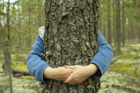 Woman hugging a tree in a pine forest. The concept of nature and peopleの写真素材