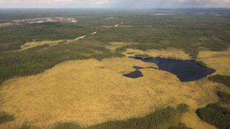Delta river and pine forests from a bird's eye viewの写真素材