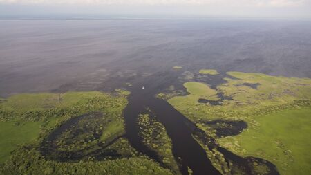 Delta river and pine forests from a bird's eye viewの写真素材