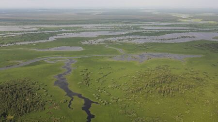 Delta river and pine forests from a bird's eye viewの写真素材