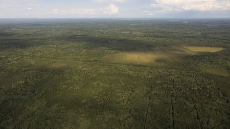 Delta river and pine forests from a bird's eye viewの写真素材