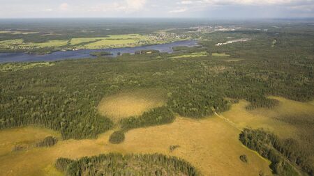 Delta river and pine forests from a bird's eye viewの写真素材