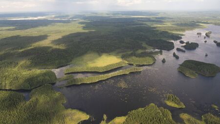 Delta river and pine forests from a bird's eye viewの写真素材