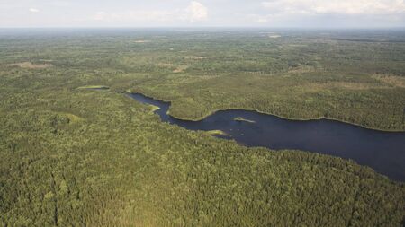 Delta river and pine forests from a bird's eye viewの写真素材
