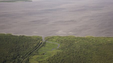 Pine forests from a bird's eye view. Ecology of the planet.の写真素材