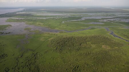Delta river and pine forests from a bird's eye viewの写真素材
