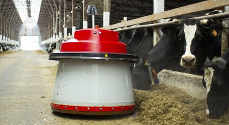 The robot farmers are programmed to work in the farm premises for animal feeding. Automation in agriculture.の写真素材