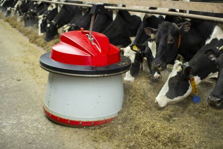 The robot farmers are programmed to work in the farm premises for animal feeding.の写真素材