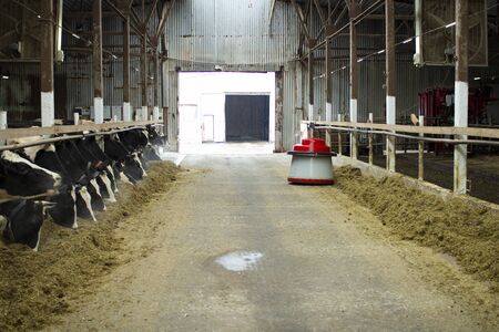 The robot farmers are programmed to work in the farm premises for animal feeding. Automation in agriculture.の写真素材