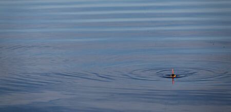Fishing float on the water. Fishing with a float rod on the water.の写真素材