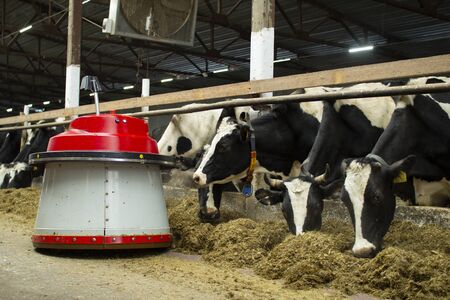The robot farmers are programmed to work in the farm premises for animal feeding.の写真素材