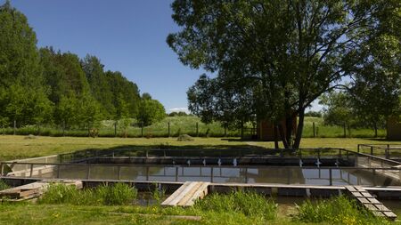 Fish farm in the pond. Aquaculture in the open air.の写真素材