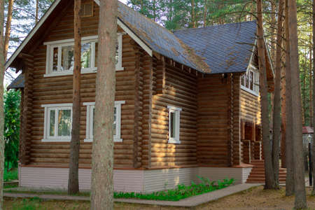 Wooden cottage in a pine forest.の写真素材