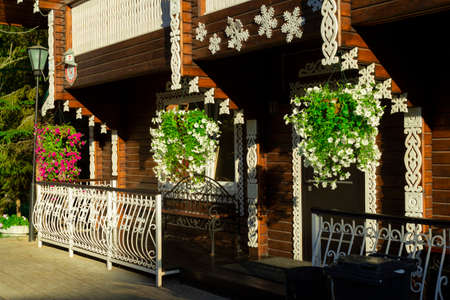 Wooden cottage in a pine forest.の写真素材