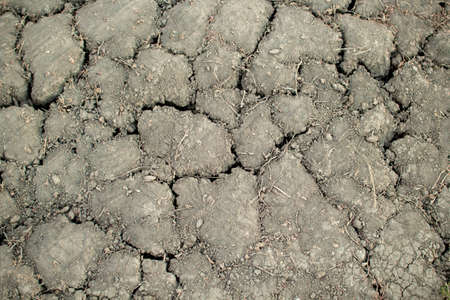 Waterless dry dead land with cracks . Post-apocalyptic Earth after an environmental disaster.