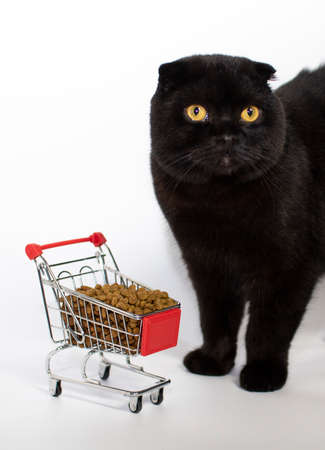 A dark cat with yellow eyes sits with a shopping basket filled with cat food.の写真素材