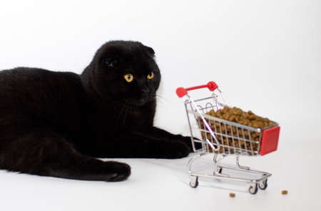 A black cat with yellow eyes sits with a shopping basket filled with cat food.の写真素材