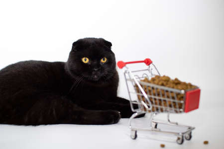 A black cat with yellow eyes sits with a shopping basket filled with cat food.の写真素材