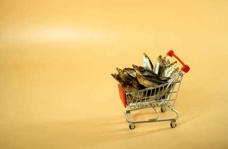 Shopping basket on a white background filled with cat food.の写真素材