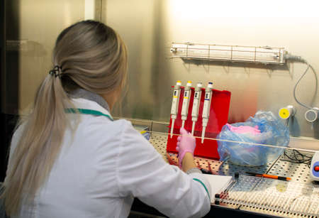 A doctor in the laboratory analyzes the reproductive system.の写真素材