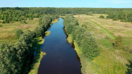 Landscape with green forest and river . Natural nature from a birds eye viewの写真素材