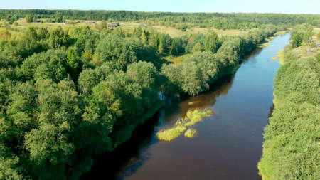 Landscape with green forest and river . Natural nature from a birds eye view