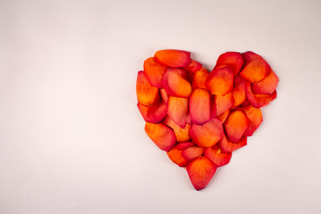 Heart of red rose petals on a pink background.の写真素材