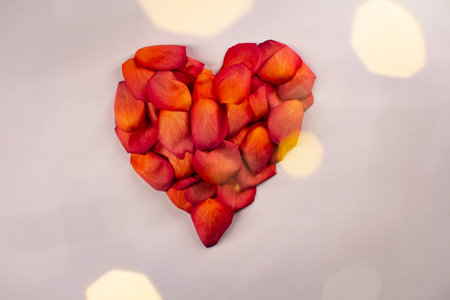 Heart of red rose petals on a pink background.の写真素材