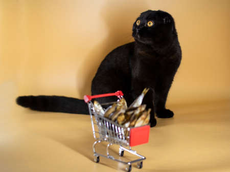 Black cat with a shopping basket filled with fish.の写真素材