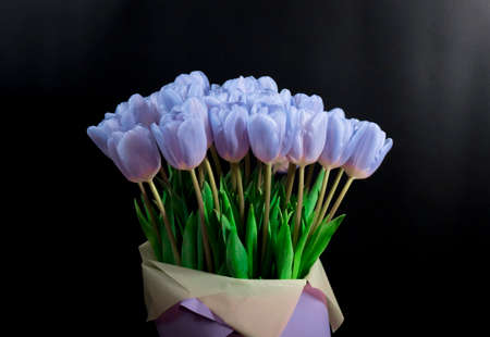 A bouquet of blue tulips on a black background. Space for the text .の写真素材